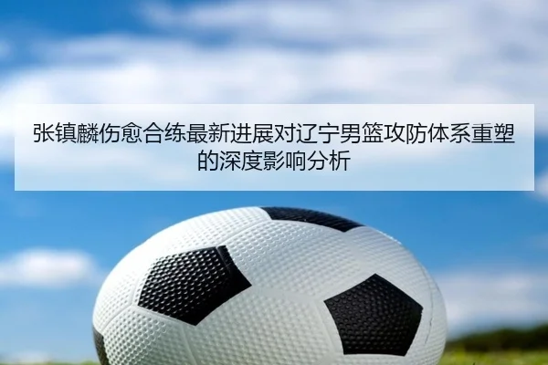 张镇麟伤愈合练最新进展对辽宁男篮攻防体系重塑的深度影响分析 - FIFAWorldcup