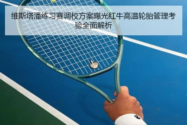 维斯塔潘练习赛调校方案曝光红牛高温轮胎管理考验全面解析 - FIFAWorldcup