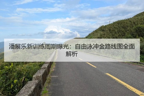 潘展乐新训练周期曝光：自由泳冲金路线图全面解析 - FIFAWorldcup